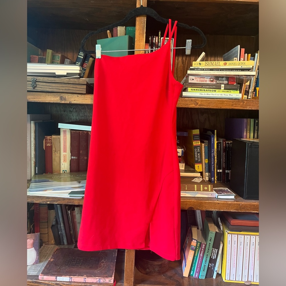 Red bodycon dress